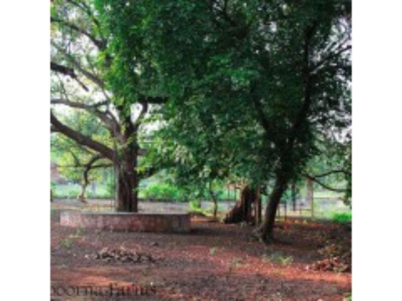 Annapoorna Farms Villa 6Bhk Khopoli Exteriör bild